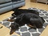 20180506_185246.jpg