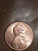 20180523_144528.jpg