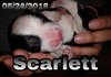 PicsArt_05-25-12.28.51.jpg