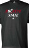 buckeye state.jpg