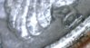 Image11.jpg