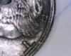 Image15.jpg