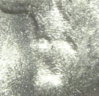 1954-S 10c Bugs bunny 2.jpg