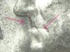1954-S 10c Bugs Buny 1 with lines.JPG