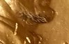20180417_222720.jpg