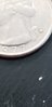 20180606_180510.jpg