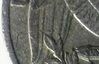 20180608_120330-1.jpg