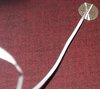 20180608_201011.jpg