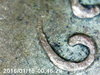 PICT0139.jpg