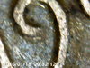 PICT0127.jpg