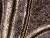 20180613_083823.jpg