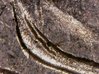 20180613_083705.jpg