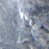 IMG_20180615_033330131.jpg