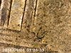 PICT0072.jpg