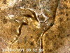 PICT0057.jpg
