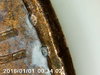 PICT0059.jpg