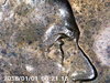 PICT0042.jpg
