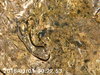 PICT0043.jpg