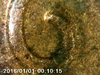PICT0035.jpg