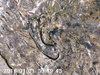 PICT0041.jpg