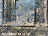 PICT0095.jpg