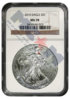 walkinsilver 2.jpg