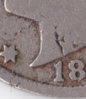 v_nic_79.jpg