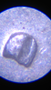 IMG_0811.PNG