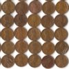 100 teen wheats-set-small 003.jpg