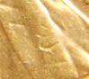 SV203805.JPG
