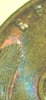 20180718_120515.jpg