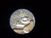 20180720_145138.jpg