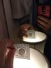 1998-P XF Jefferson 5c 145-Degree Rev Die Rotation Error REV Mirror Pic1.jpg