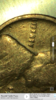 C350D4C3-EBAC-4048-A6AB-34E51CB20B9F.png