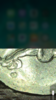 3D7DE20C-A984-428B-A6B3-DA21CD965744.png
