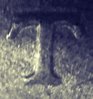 PicsArt_08-07-01.55.57.jpg