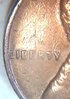 IMG_20180809_202911003.jpg