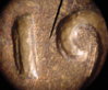 coin55D 002-1.jpg