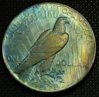 1928peacerev1toned.jpg