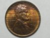 1913woody.jpg