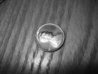 DSC01239.jpg