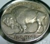 1930-S Buffalo-rev3-small.jpg