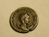 hippocamps   herinnia estucilla anton 003.JPG