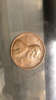 2944A901-B00D-4C2C-A6FC-7ED68AEDCEBF.png