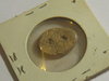 coins dumps shell money 006.JPG