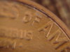 DSC00036.JPG