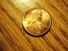 DSC01393.JPG
