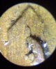 1953-P die crck closeup LW.jpg