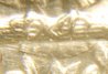 SV203863.JPG