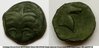P1160926 dadepalm2.jpg